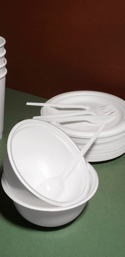 composition-disposable-tableware_23-2148902935