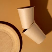 still-life-cardboard-organic-dinnerware_23-2149542131